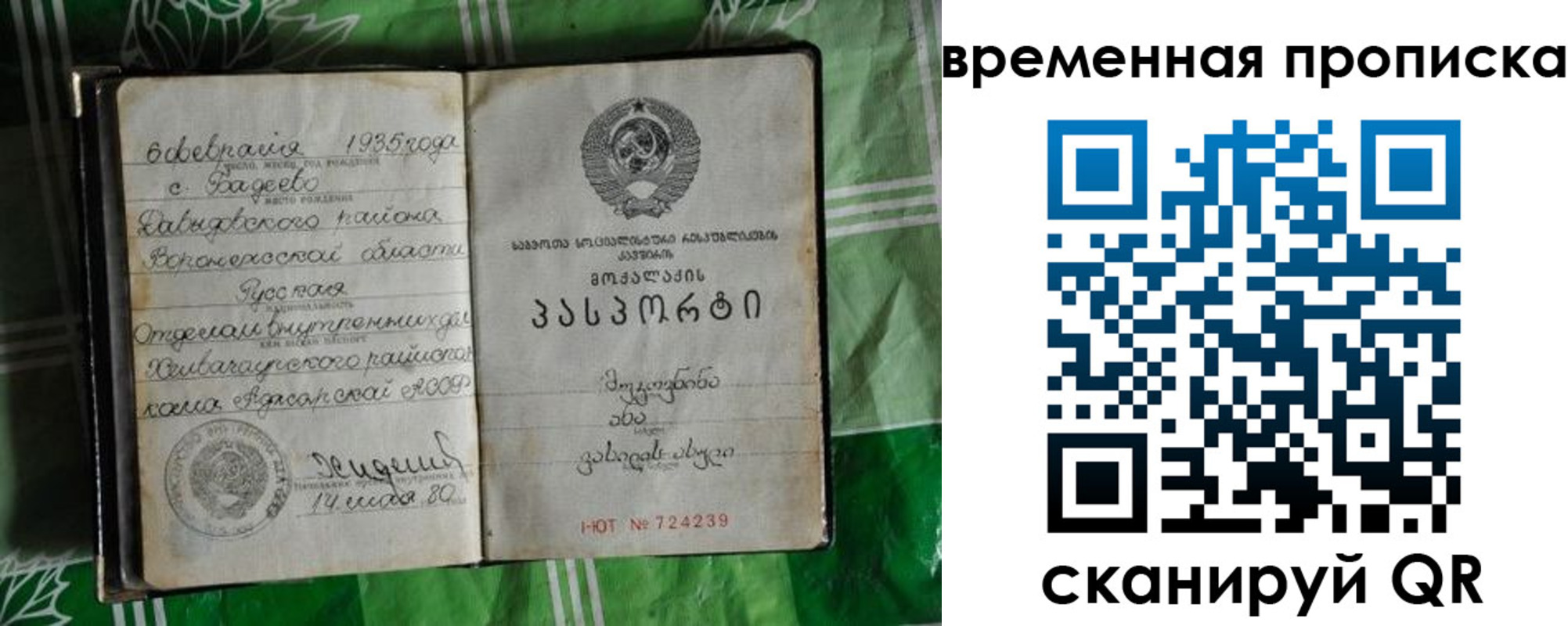 прописка в Сухом Логе
